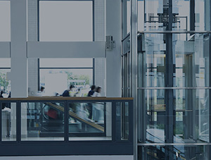 Observation elevator